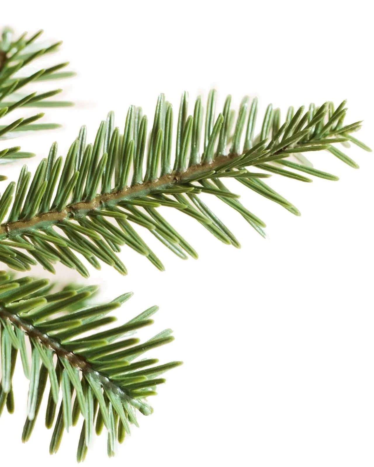 Árvore de Natal Modelo Alpino Esguio — Galhos Articulados e Micro LEDs Embutidos