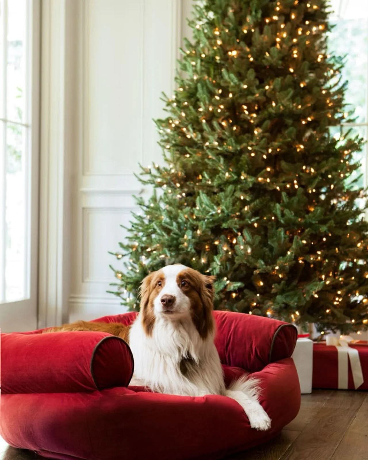 Árvore de Natal Artificial Pinheiro Clássico com Luzes Micro LED Embutidas - Galhos Articulados e Suporte Metálico