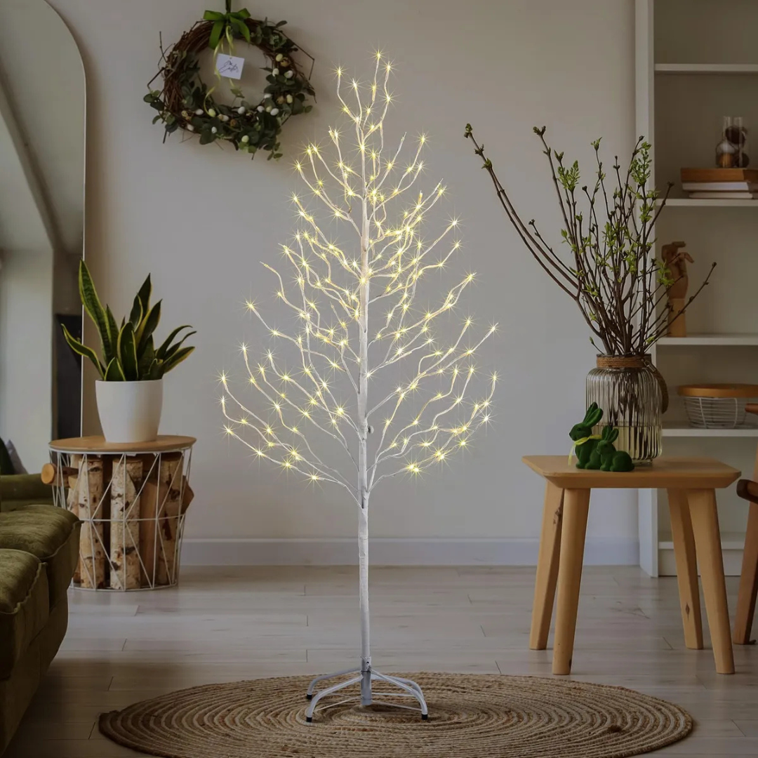 Árvores Brancas Quentes De Bétula iluminada