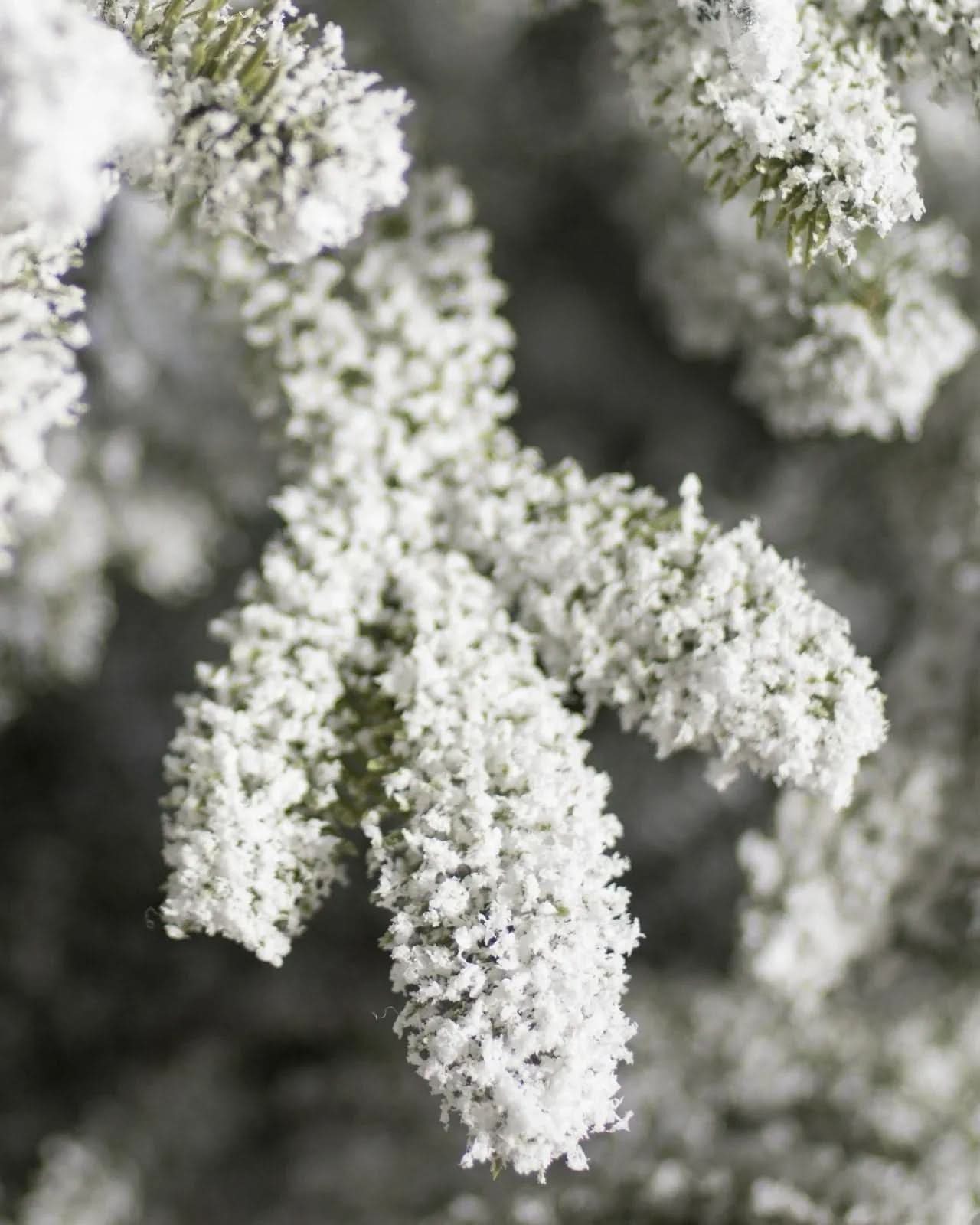 Árvore de Natal com Micro LEDs Embutidos - Efeito Nevado, Galhos Articulados e Suporte Metálico